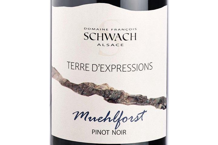 À la rencontre des grands vins de Terroir