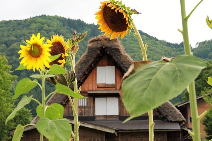 金沢から高山へのプライベート送迎（白川郷を含む）