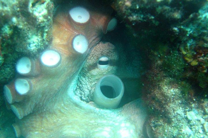 Diving day tour with 2 dives