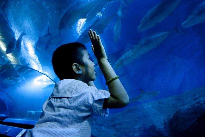 Underwater World Pattaya (solo biglietto)
