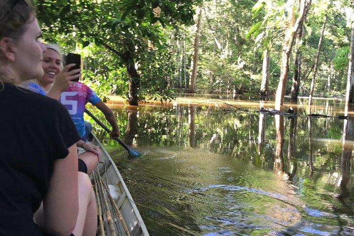 Un día entero en la jungla