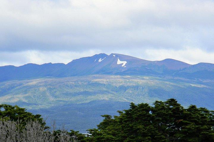 Punta Arenas - Experiência na costa