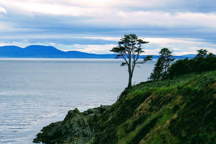Punta Arenas - Experiência na costa