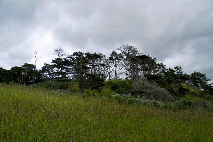 Punta Arenas - Experiência na costa