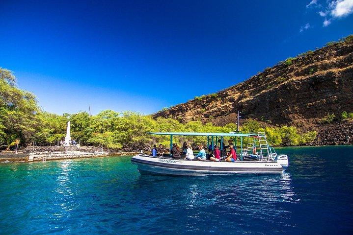 Boccaglio mattutino premium sulla costa di Kona