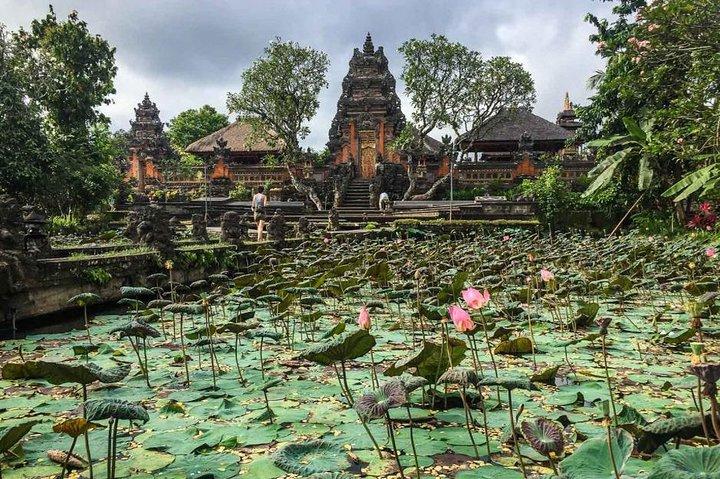 Ubud Instagram Spots Tour - One Day Private Trip