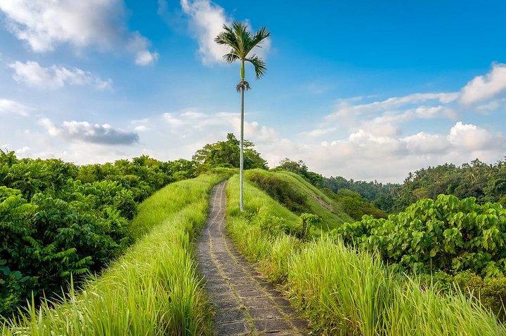 Ubud Instagram Spots Tour - One Day Private Trip