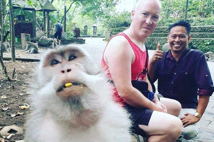 Ubud Instagram Spots Tour - Excursion privée d'une journée