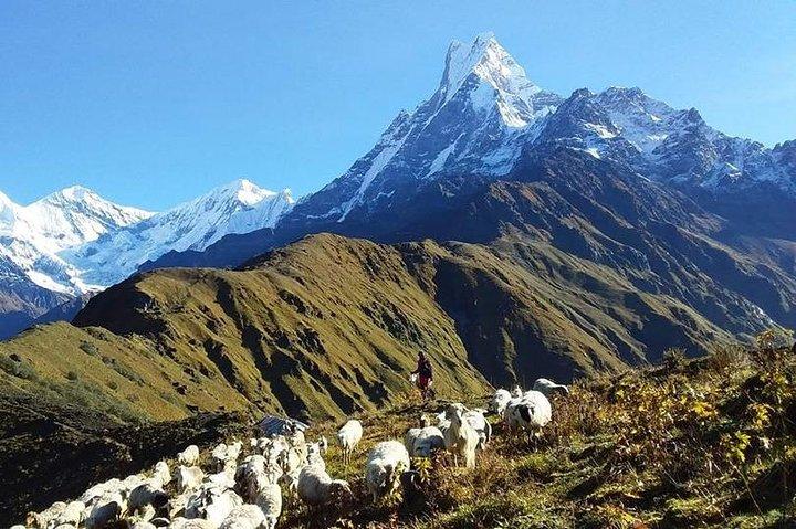 Mardi Himal Base Camp Trek