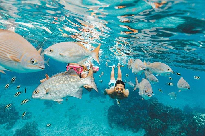 Snorkeling en Puerto Morelos