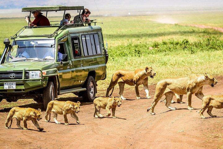 4-dagars camping Safari - Tarangire, Ngorongoro, Manyara, Olduvai Gorge