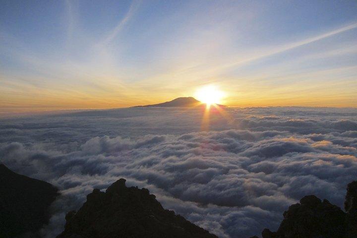 Kilimanjaro klättring; 7 dagars Lemosho-rutt