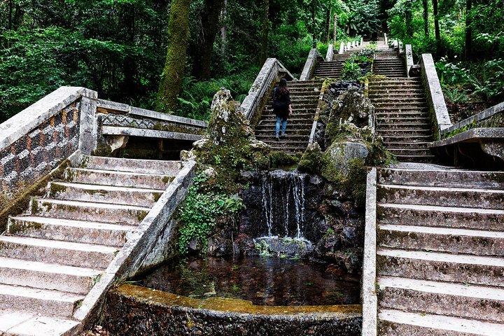 Bussaco Palace, Gardens & Forest | Private Tour