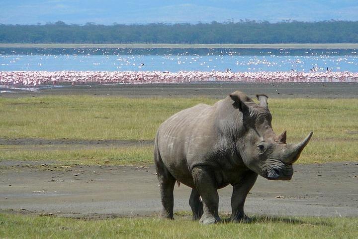 2 dagar Lake Naivasha-Hells Gate-Lake Nakuru-tur från Nairobi