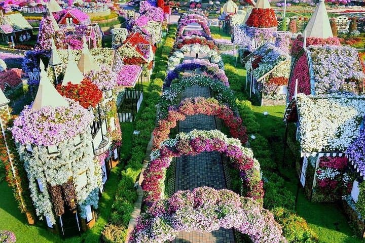Miracle Garden+Dubai Frame with Sharing Transfers