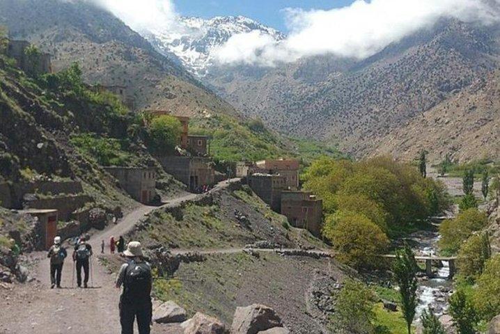 day trip to atlas mountains ourika valley & waterfall