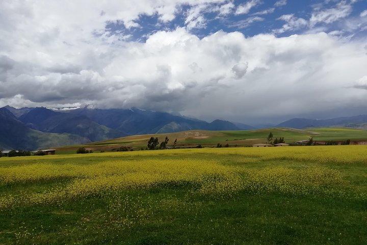 Trasferimento Cusco_Ollantaytambo o viceversa con tour della città e Pisac