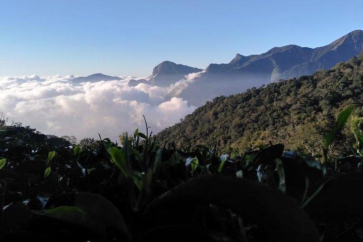 Sunrise Tour in Top Station, Munnar ( By Munnar Info)