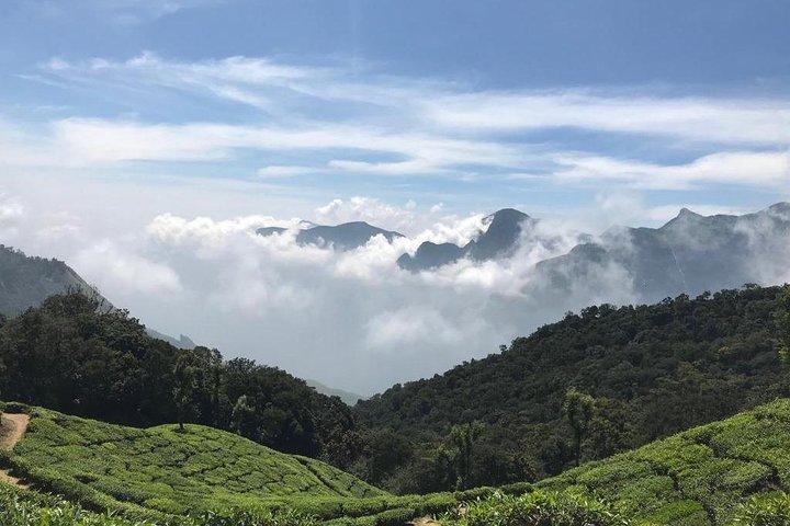 Sunrise Tour in Top Station, Munnar ( By Munnar Info)