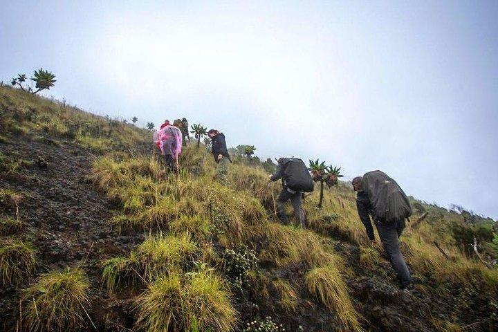 2 Days Nyiragongo Hike Adventure