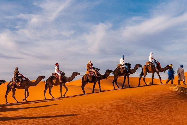 1 Noite de Camelo em Merzouga