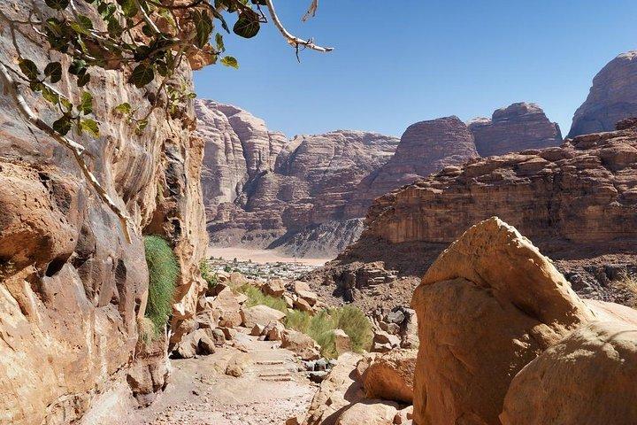 Wadi Rum Shore Excursion från Aqaba Port
