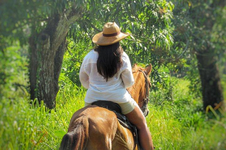 Discover a nature reserve on horseback