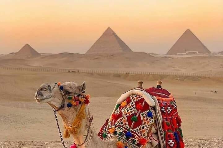 Dagstur till pyramiderna och egyptiska museet