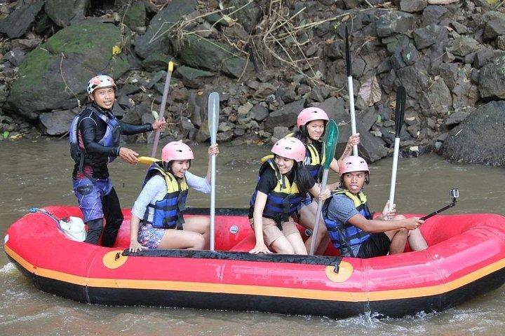 Ayung River Rafting Adventure with Lunch - Free Transfer