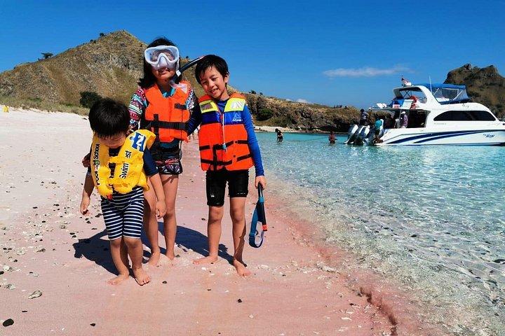 シェアスピードボートで行くコモド1日旅行