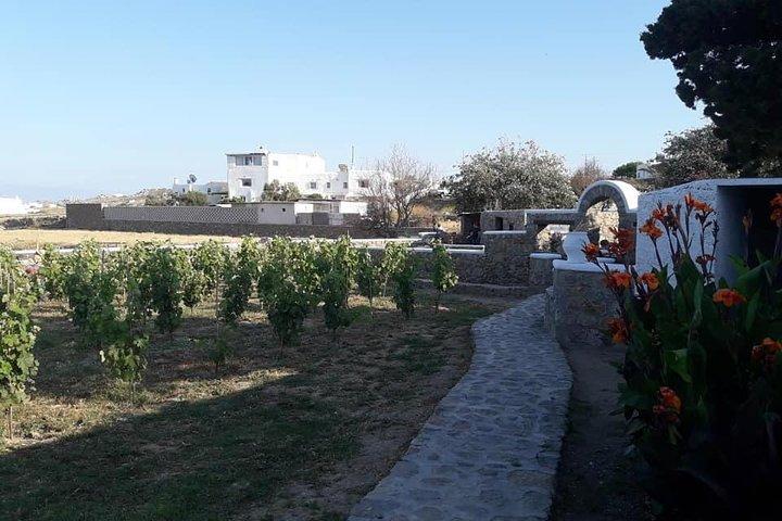 Weinprobe auf einem traditionellen Bauernhof in Mykonos