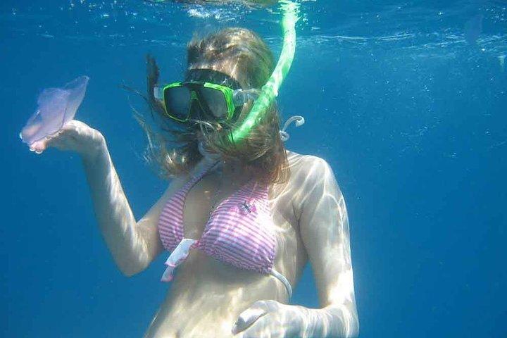 Reef Snorkeling - Sea trip Hurghada