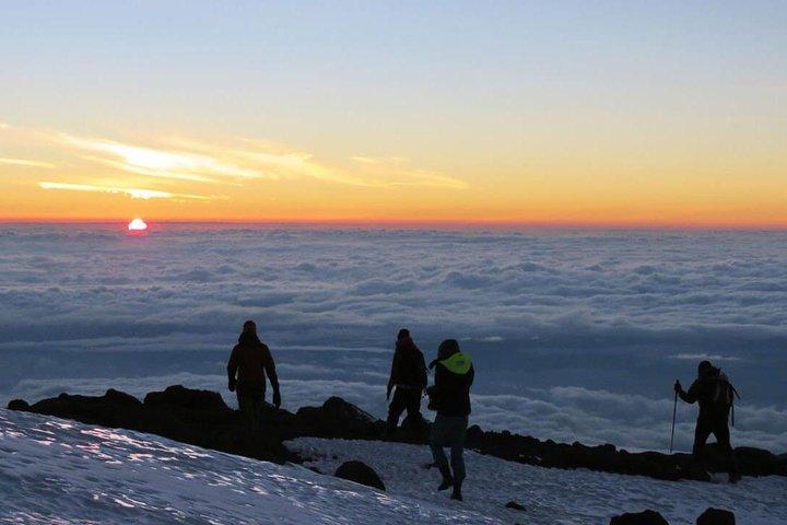 Kilimanjaro klättring; 7 dagars Lemosho-rutt