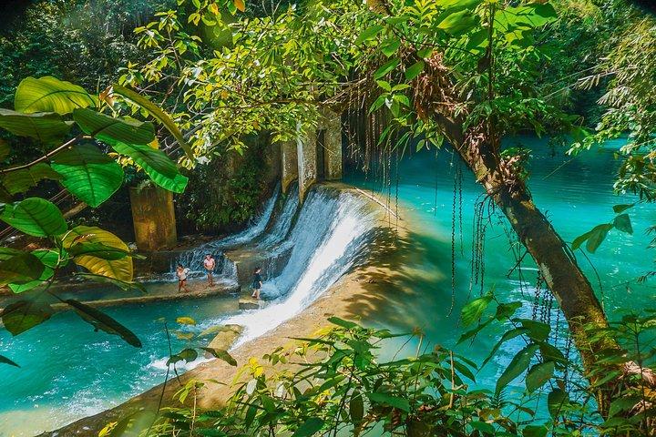 Kawasan Canyoneering, Kawasan Falls och Whaleshark Encounter