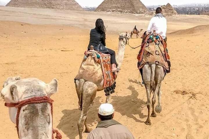 Kør med en kamel i pyramiderne