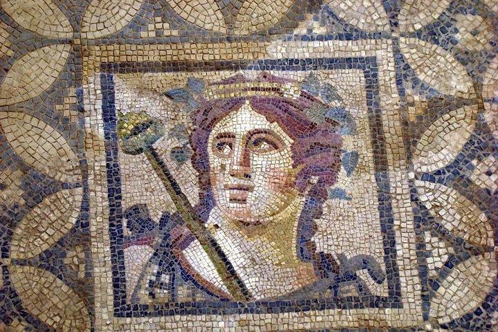Tour privado a Éfeso, Casas adosadas, Museo Selcuk, Templo de Artemisa