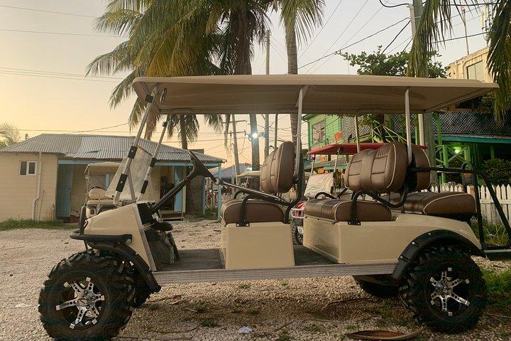 Aluguel de carrinho de golfe de 6 lugares C&S