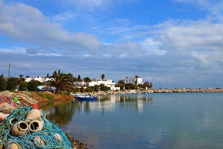 Carthage Discovery Half-Day Tour with Licensed Guide
