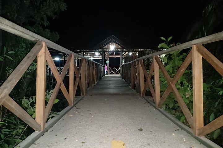 Excursão de descoberta dos vaga-lumes de Bintan