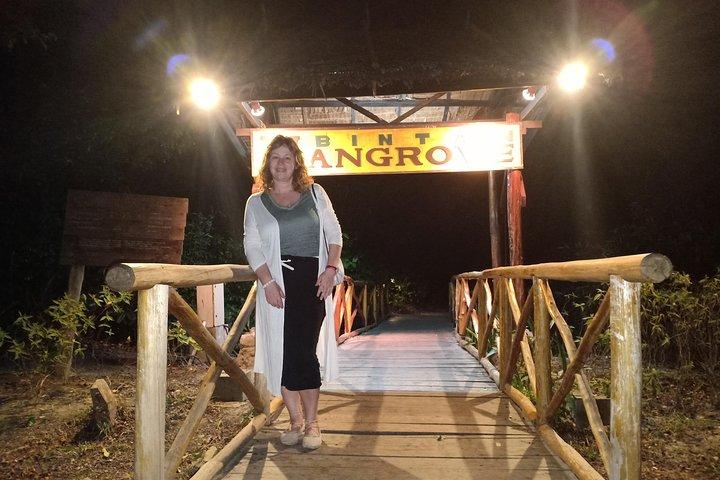 Excursão de descoberta dos vaga-lumes de Bintan