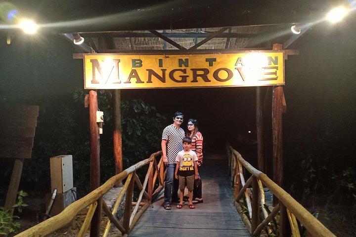 Excursão de descoberta dos vaga-lumes de Bintan