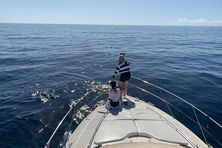 Hvalsafari i Puerto de Mogán (båd "KEEPER UNO")