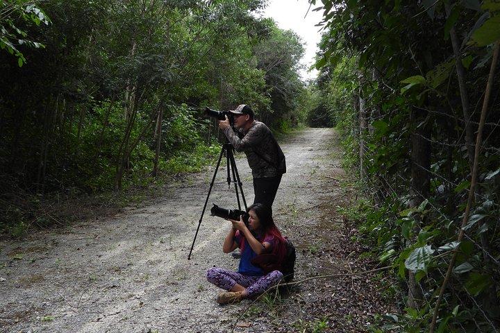 Uccelli del mondo Maya 2 / Percorso dei cenotes