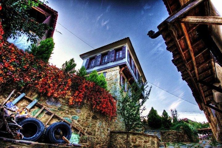 Porto de Izmir para Éfeso, Casas com terraço, Museu Selcuk, Templo de Artemis