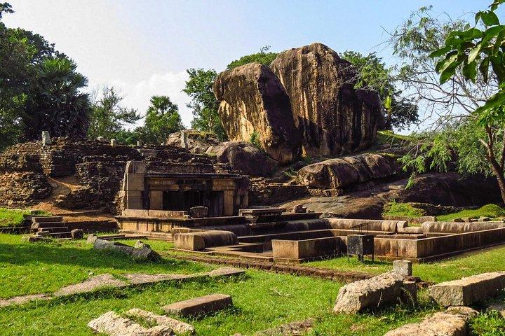 Dagstur til Anuradhapura Kingdom og Wilpattu Safari fra Colombo