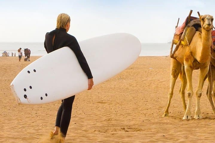 From Marrakech To Essaouira Mogador Full Day Trip | Small-group