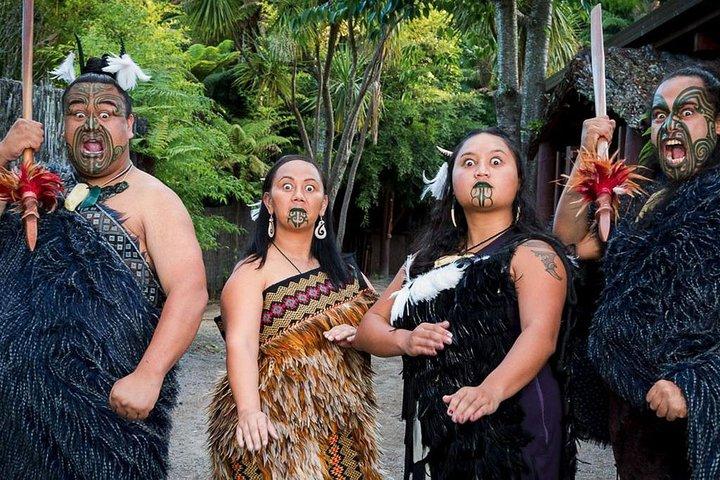 オークランドからの3日間のワイトモ洞窟、ホビトン映画セット、ロトルアツアー