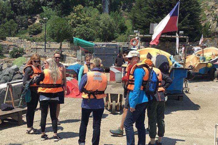 Don VALPO : PINGUINI SELVAGGI, SEALION, SANDBOARD, PARAPENDIO & PICNIC