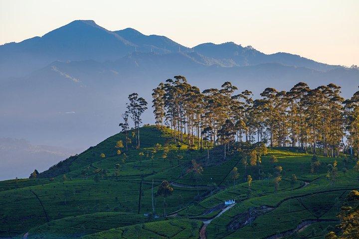 Lipton's Seat View Point vanuit Ella