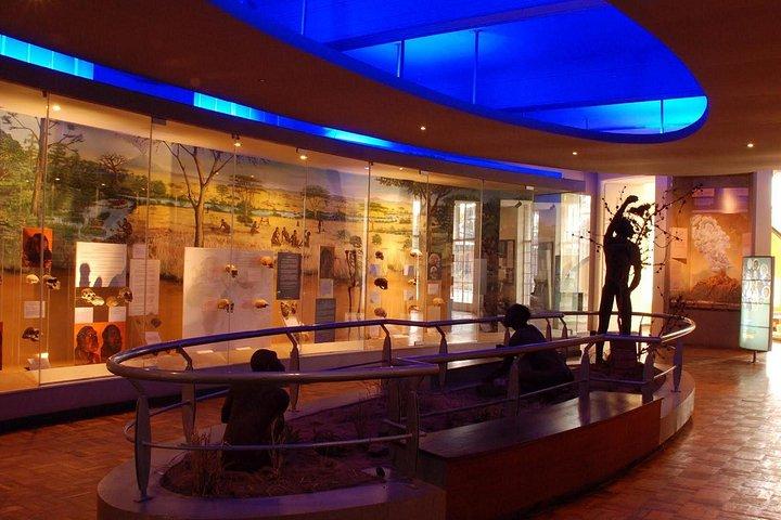 日帰りツアーナイロビ博物館、キリンセンター＆ナイロビ国立公園